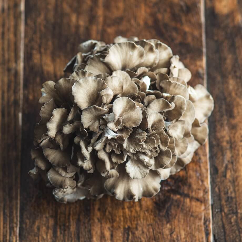 Hen of the Woods